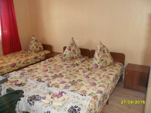 Hostal Guesthouse Pioner