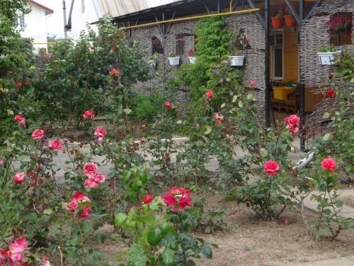 Hostal Guest House On Lenina Ulitsa