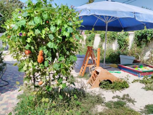 Hostal Guest House Provence