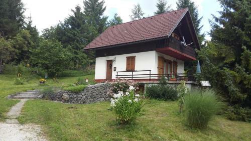Holiday House Tollazzi