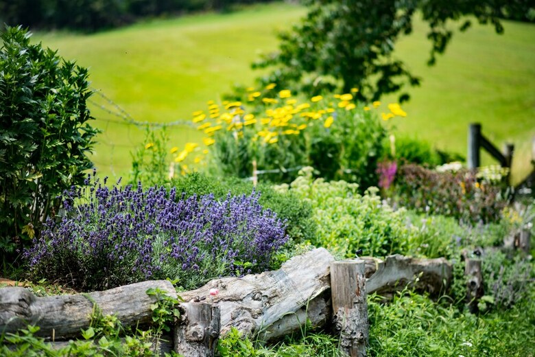 Bed & Breakfast Pr'dovar Guest House