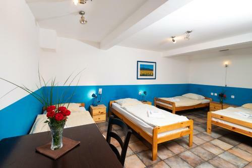 Hostel Momo