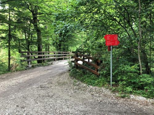 Kamp Alpe Kamni?ka Bistrica