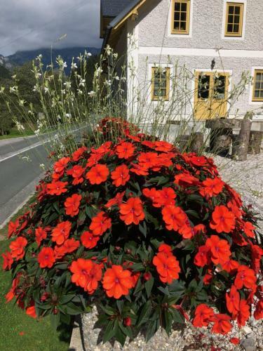Hostal Boutique Rooms Pri Rogovilcu