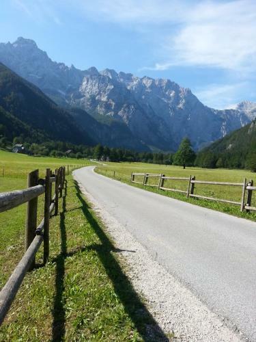 Hotel Plesnik Logarska Dolina