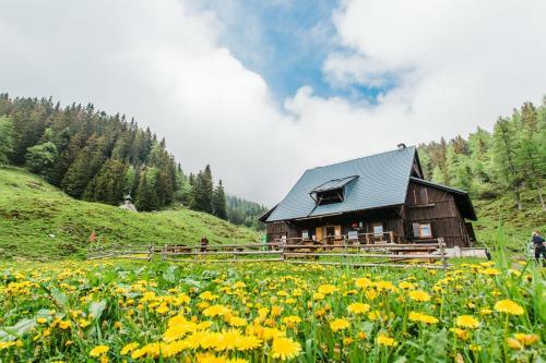 Loka Lodge At Raduha