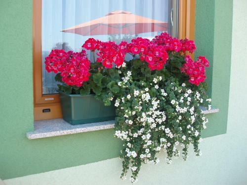 Bed & Breakfast Motel Divjak