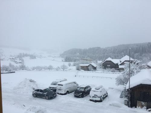 Apartamento Ferienwohnung Landschitzseen