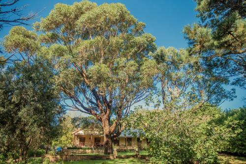 Bed & Breakfast Secluded Homestead Amongst The Trees