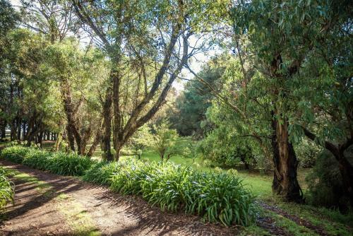 Bed & Breakfast Secluded Homestead Amongst The Trees