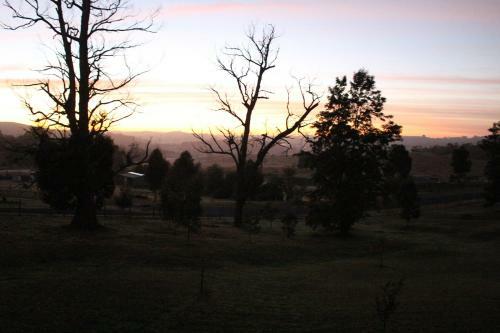 Nyora Lodge B&B