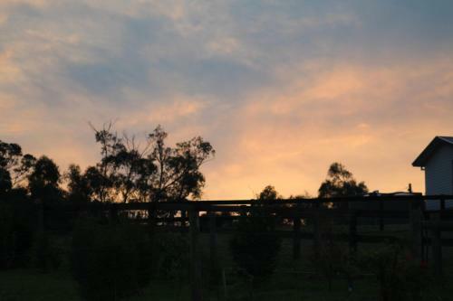 Nyora Lodge B&B
