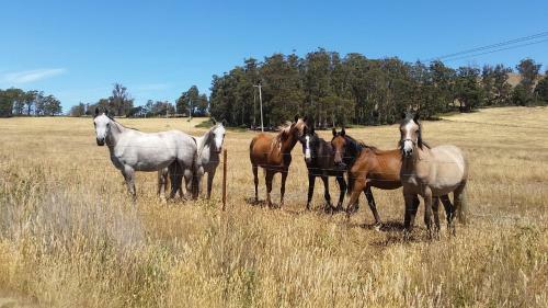 Agroturismo Lockleigh Park