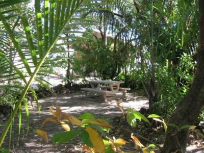 Hotel Crab Claw Island
