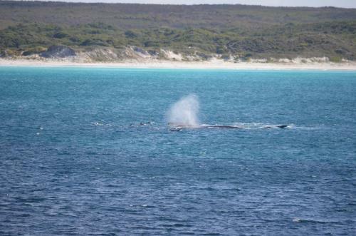 Cheynes Beach Caravan Park