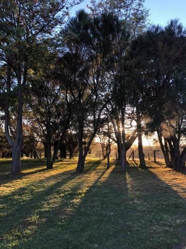 Bed & Breakfast Banksia Park Estate