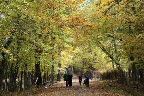 Hostal Seoski Turizam Zili?ina Rogatica