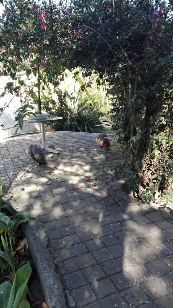 Hotel Villa Via Midrand