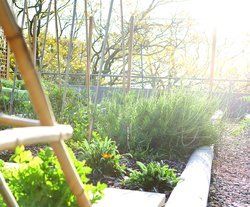 The Saxon Boutique Hotel