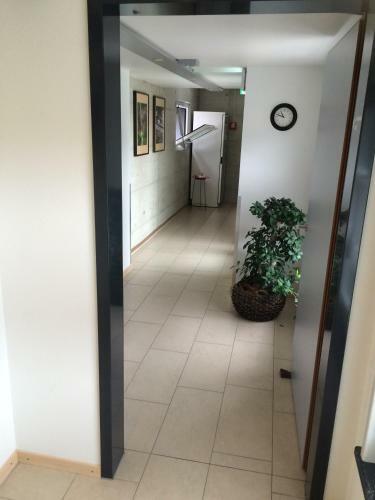 Hostal G�stehaus Sonne