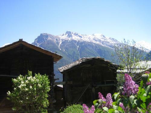 Apartamento Bergquell Haus E