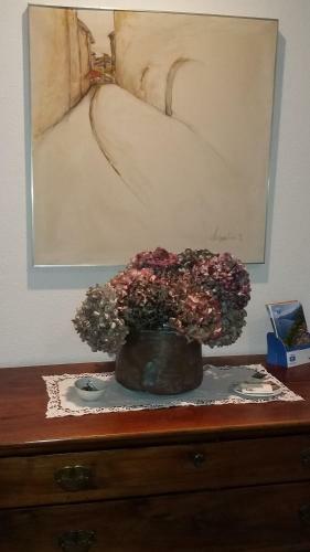 B&B Il Vigneto