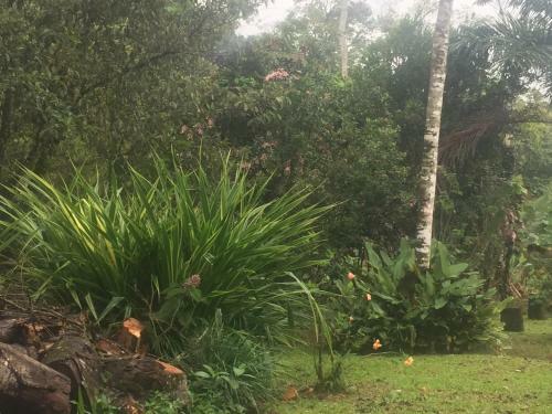 Agroturismo Casa Los Limones