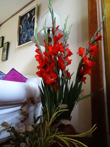 Hostal De La Tierra Ecohouse Farm