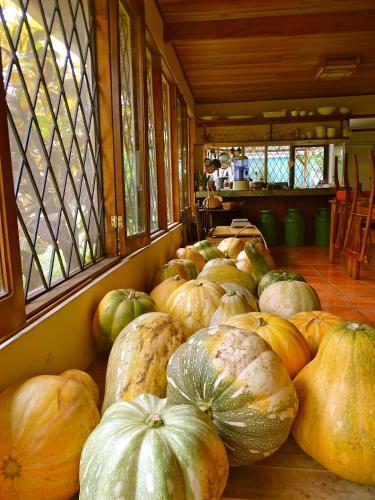 Hostal De La Tierra Ecohouse Farm