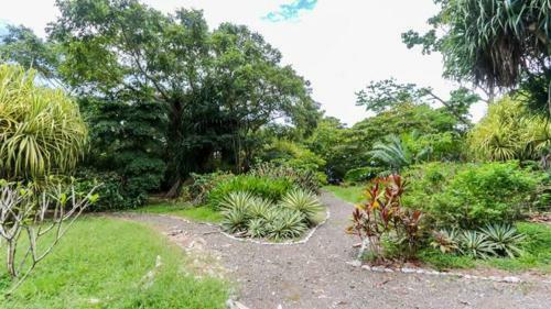 Casita Tranquila Osa Peninsula