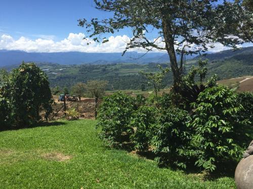 Hotel Guayabo Lodge