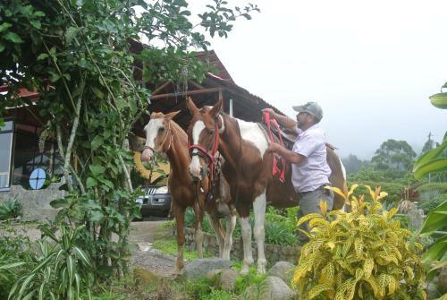 Hotel Guayabo Lodge