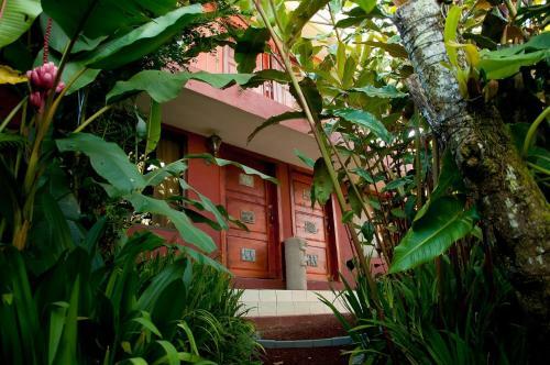 Bed & Breakfast La Boruca