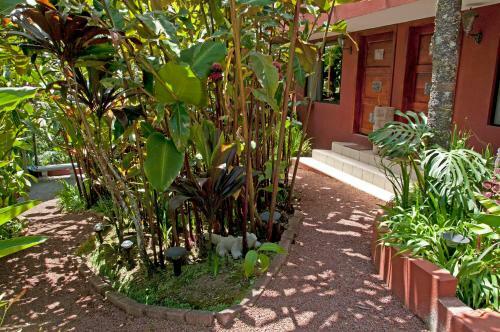 Bed & Breakfast La Boruca