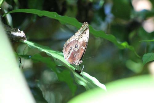 Savegre Ecolodge