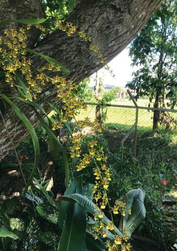 Hotel Rancho Le�n