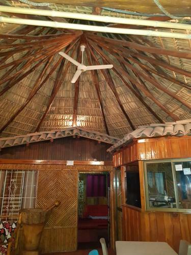 Hostal Mauras Tropical Mini Hostel