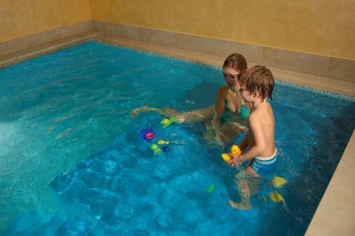 David Wellness Hotel