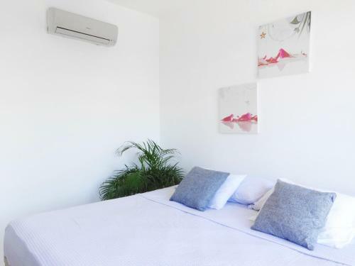 Apartamento Tico Lindo Flats