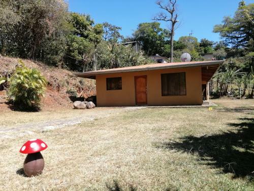 Casa Natura
