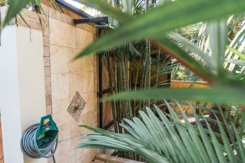 Villa Classy Palms