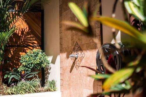 Villa Classy Palms