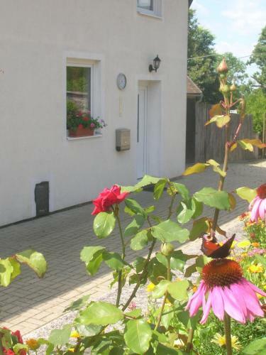 Hostal Casa Andelka