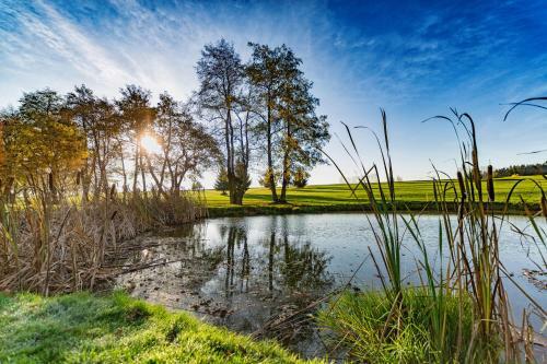 Hotel Golf&wellness Resort Alfr�dov