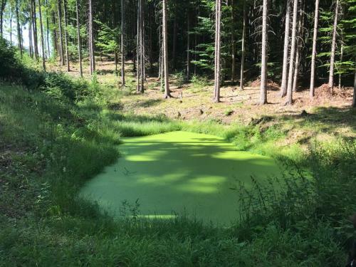 Agroturismo Farma Noe