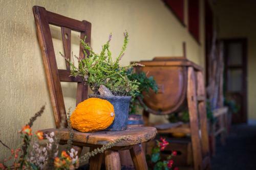 Hostal Statek ?esk� L�pa Myslovice