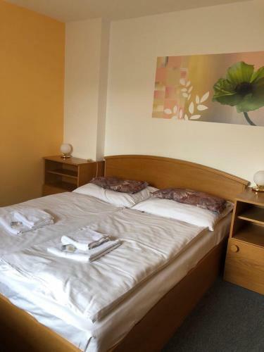 Hotel Vydra