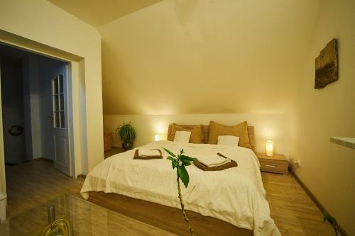 Bluestars Apartments