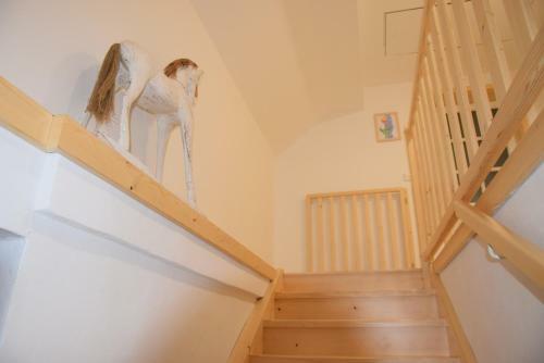Apartm�ny Koj�kovice - T?ebo?