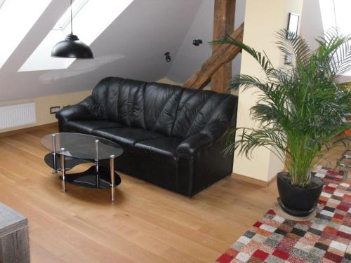 Apartamento Chateau Pozorice